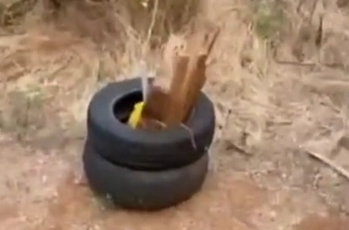 Αλεξανδρούπολη: Εντοπίστηκε καύσιμη ύλη στην περιοχή της Χιλής-ΒΙΝΤΕΟ