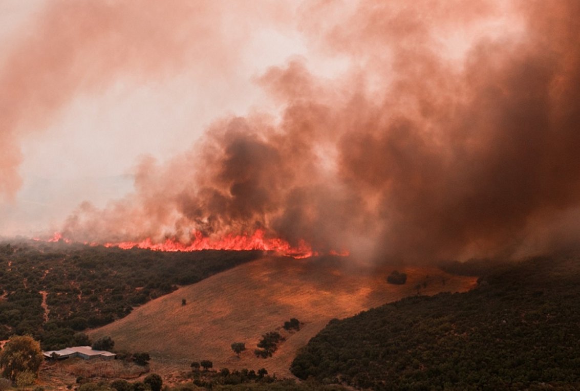 Χαλκιδική: Ενισχύθηκαν οι δυνάμεις πυρόσβεσης στην πυρκαγιά στον Πολύγυρο