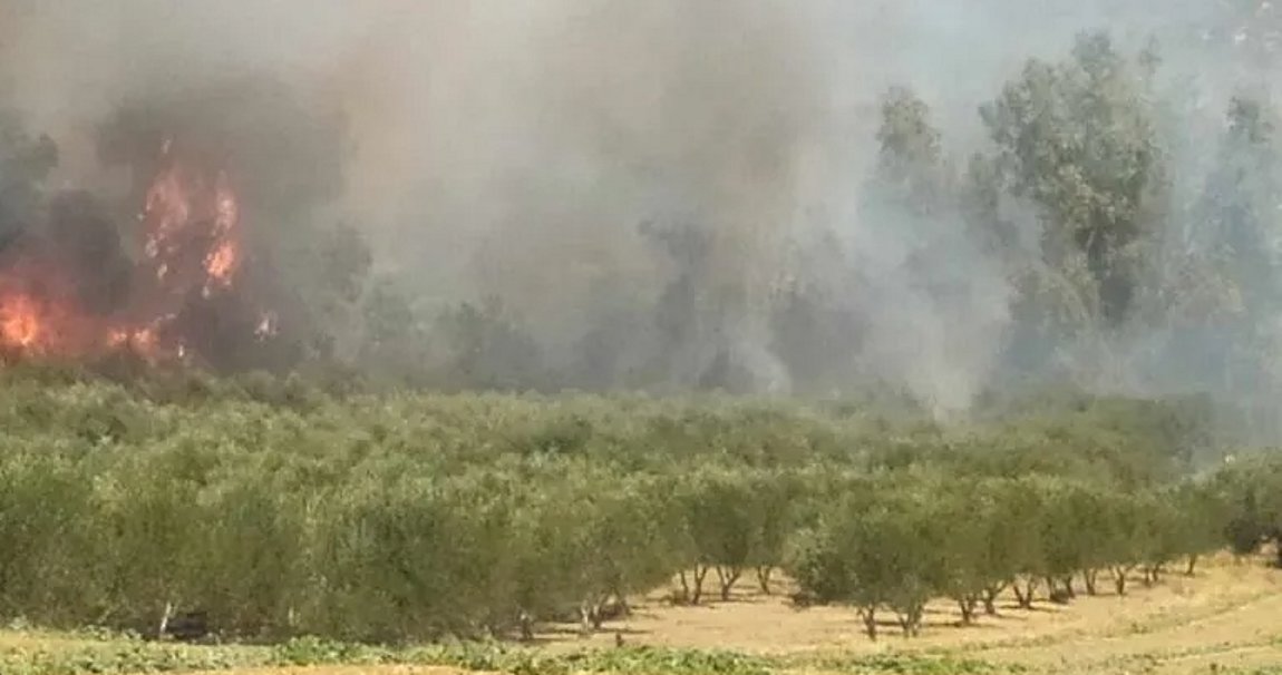 Ηράκλειο: Φωτιά στην περιοχή Ασήμι