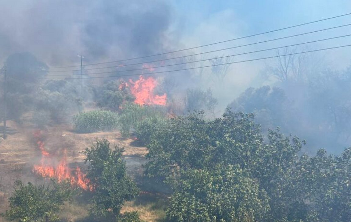 Βοιωτία: Πυρκαγιά τώρα στην Αγιά