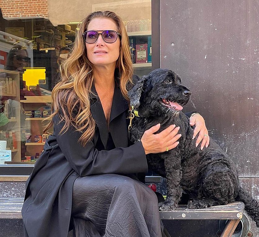 Παγκόσμια Ημέρα Σκύλων: Αφιερωμένη στους πιστούς τετράποδους φίλους μας