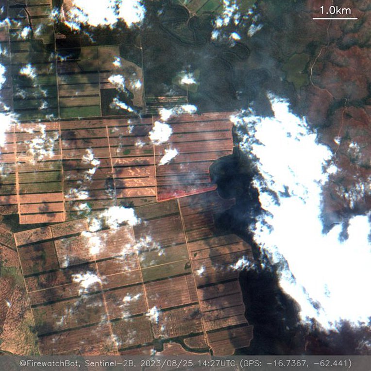 Βολιβία: Πυρκαγιές σε δασικές και αγροτικές εκτάσεις