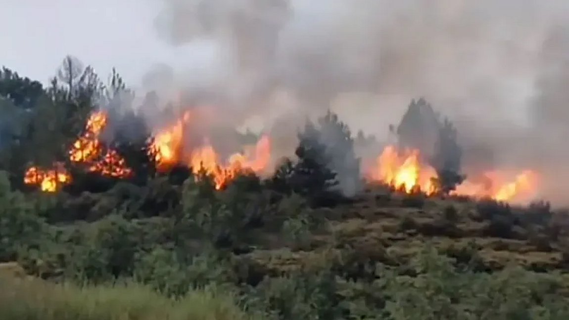 Φωτιά από κεραυνό στον Ταΰγετο – Βίντεο