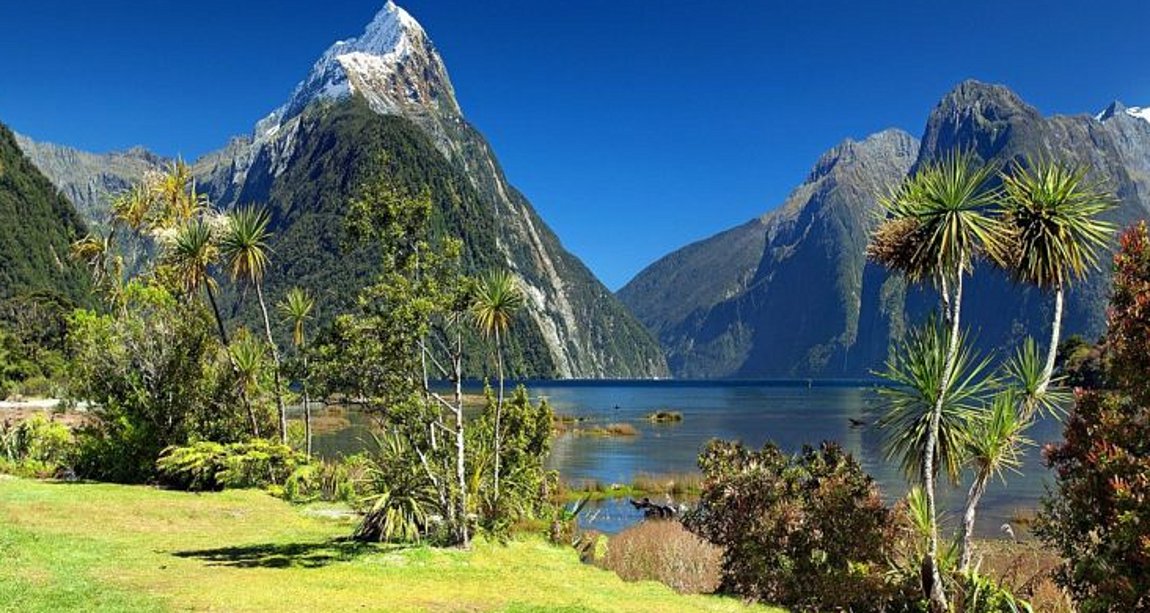 Νέα Ζηλανδία: Προσφέρει στους Ουκρανούς πρόσφυγες πολέμου καθεστώς μόνιμου κατοίκου