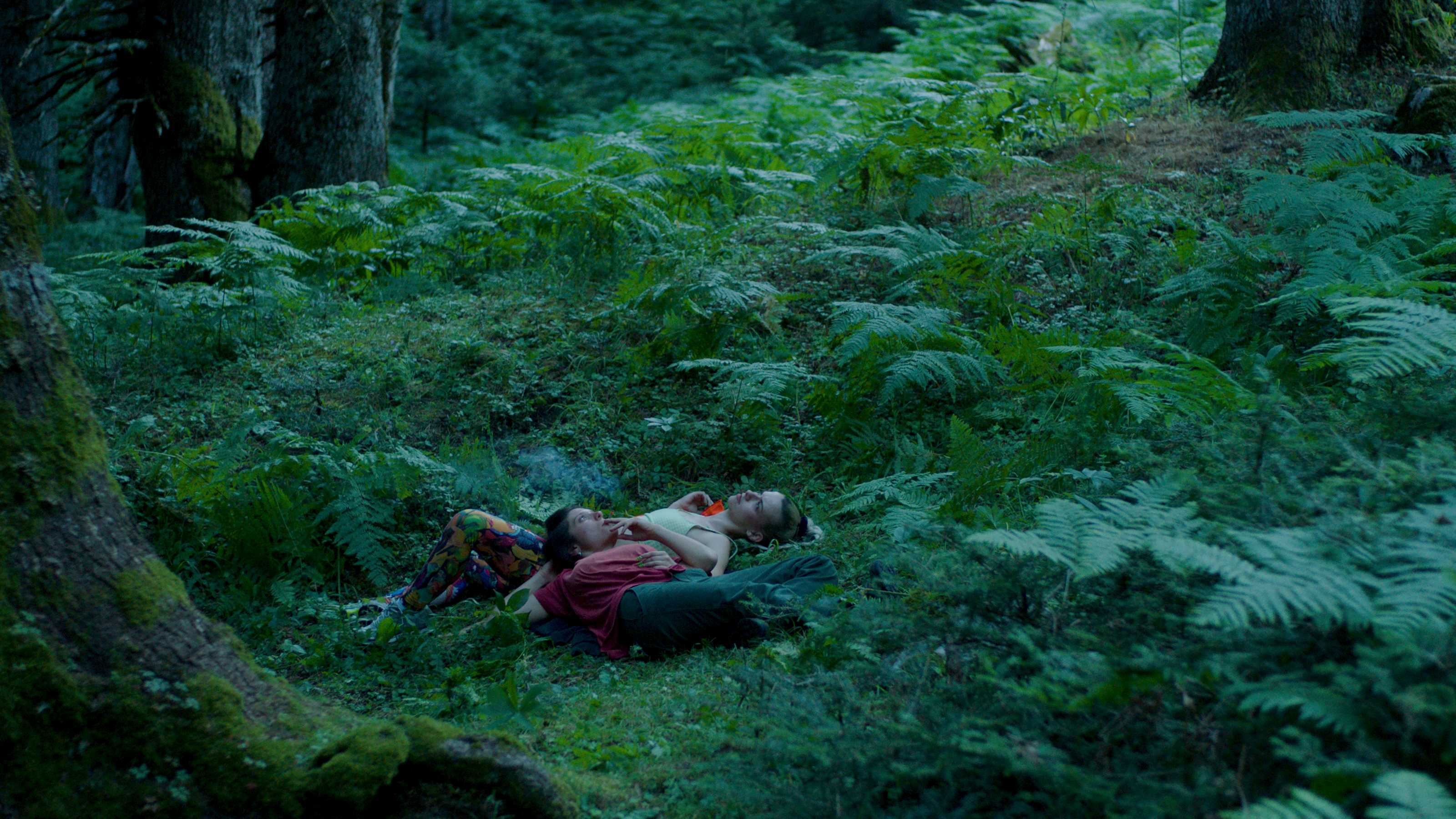 Αρκουδότρυπα- Χρυσιάννα Παπαδάκη και Στέργιος Ντινόπουλος