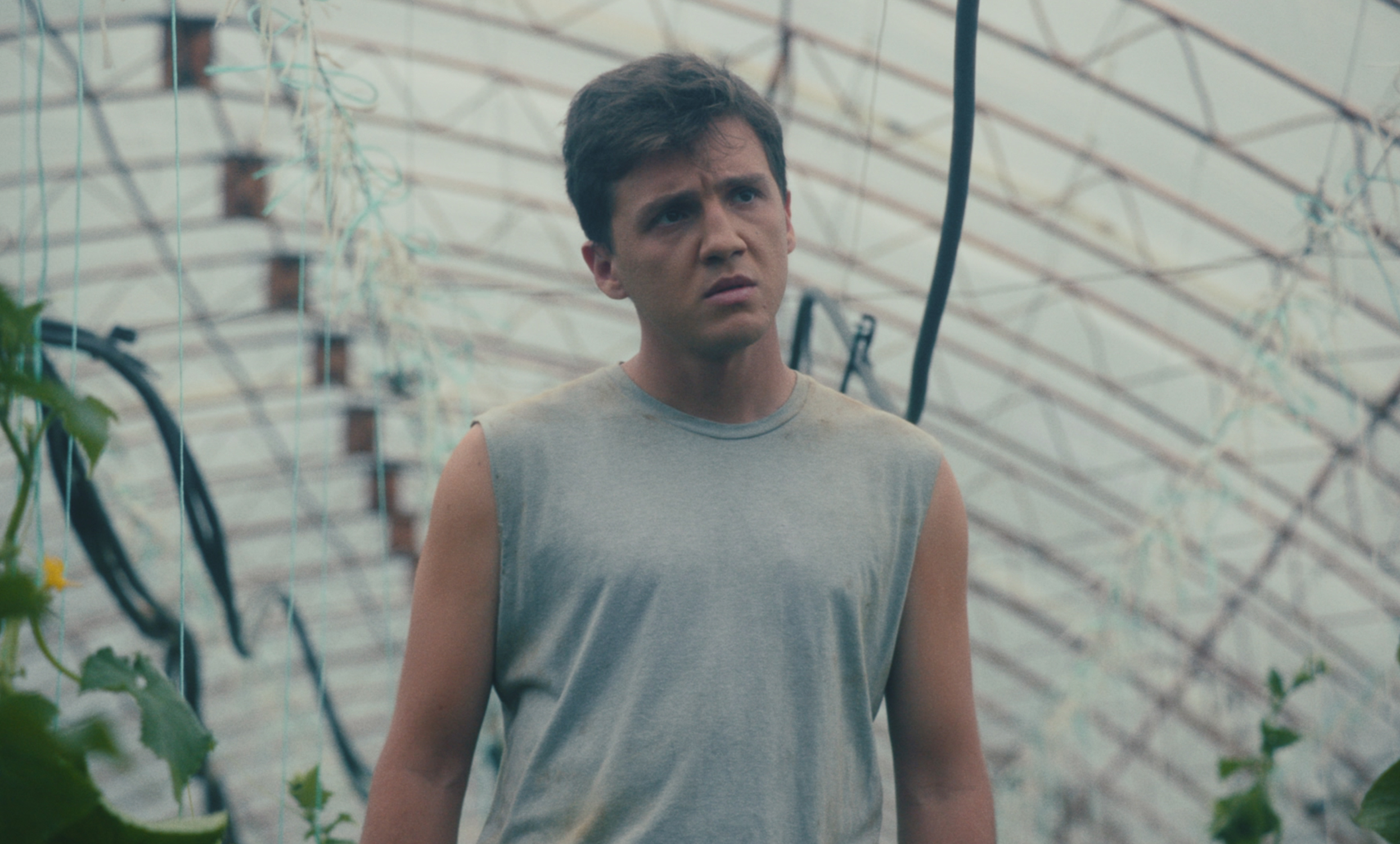 Θερμοκήπιο- Γιώργος Γεωργακόπουλος