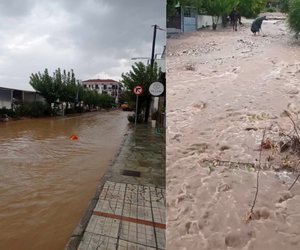 Κακοκαιρία «Elias» στη Μαγνησία - «Δεν θυμάμαι ποτέ ξανά τέτοιο, 30 φορές πάνω από τον μέσο όρο η βροχή» - Η ανάρτηση του Σ. Αρναούτογλου