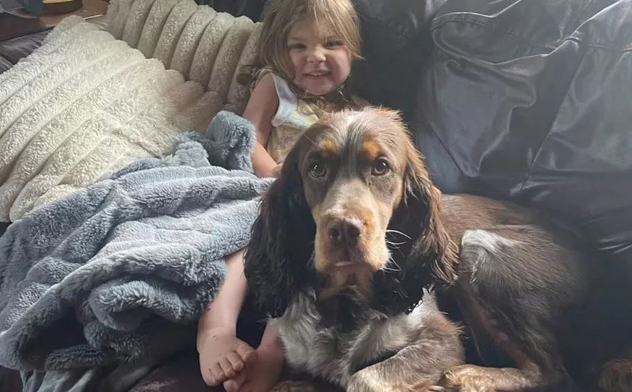 ΗΠΑ: Κοριτσάκι 2 ετών βρέθηκε στο δάσος να κοιμάται με μαξιλάρι τον έναν σκύλο της και φύλακα τον άλλον