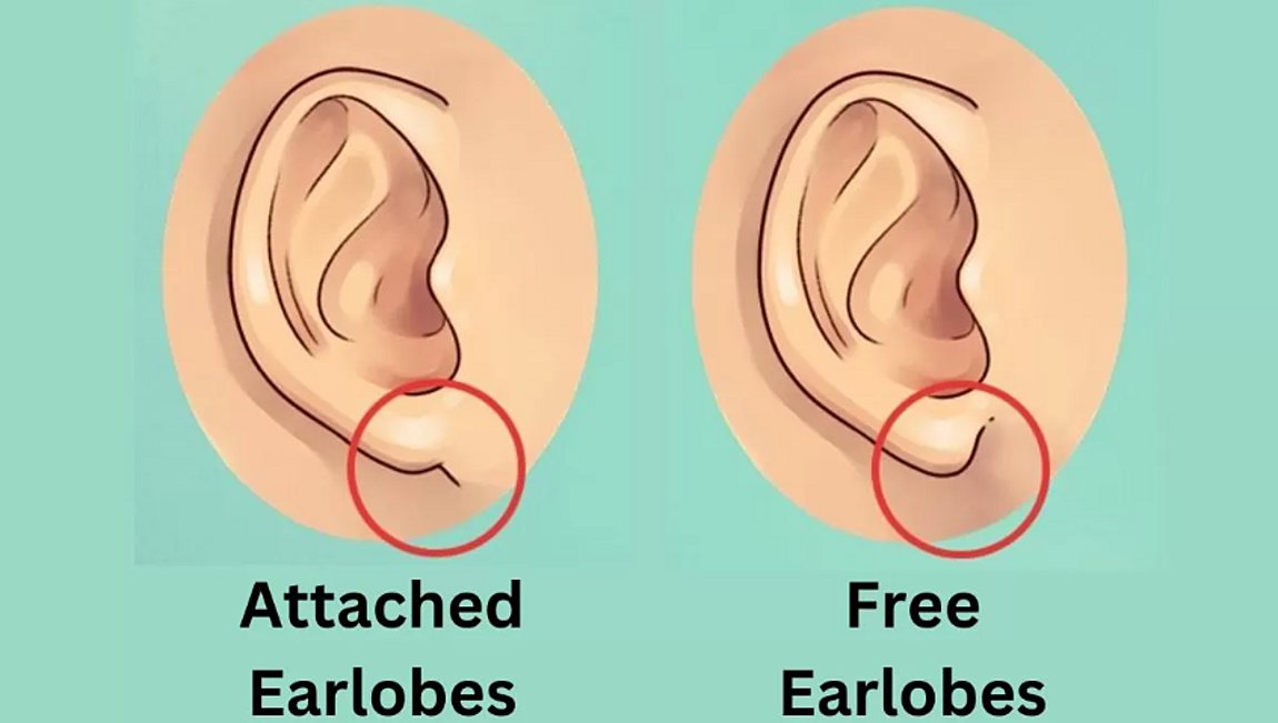 Tεστ προσωπικότητας: Τι αποκαλύπτουν τα αυτιά σας για τον χαρακτήρα σας