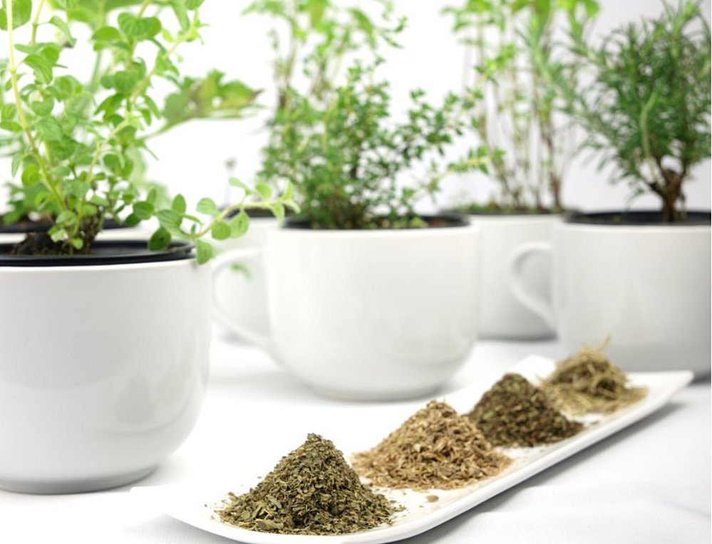 Το ελληνικό αρωματικό βότανο που καταπολεμά λοιμώξεις, ακμή και αρθρίτιδα