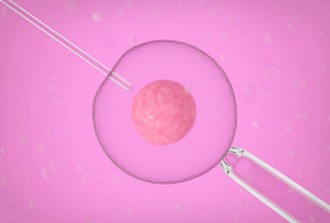 Εξωσωματική γονιμοποίηση: Οι επιστήμονες βρήκαν πώς θα αυξήσουν τα ποσοστά επιτυχίας