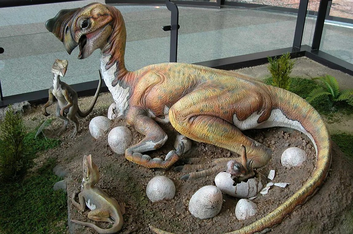 Μωρό εκατομμυρίων ετών! Αβγό Δεινοσαύρου με έμβρυο εντός του