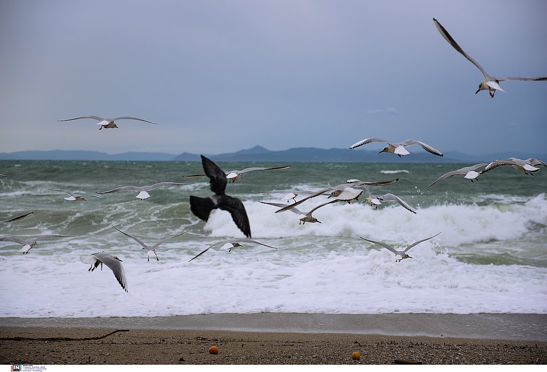 Απαγορευτικό απόπλου από και προς την Κρήτη