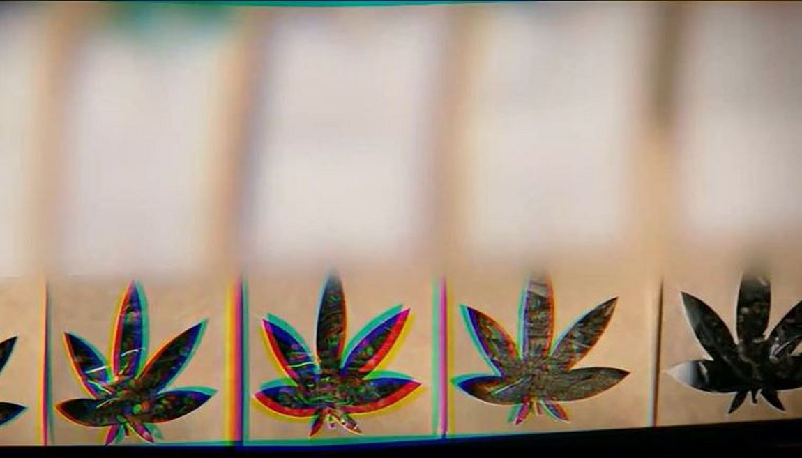 Νέα μόδα στους νέους τα ζελεδάκια κάνναβης – BINTEO