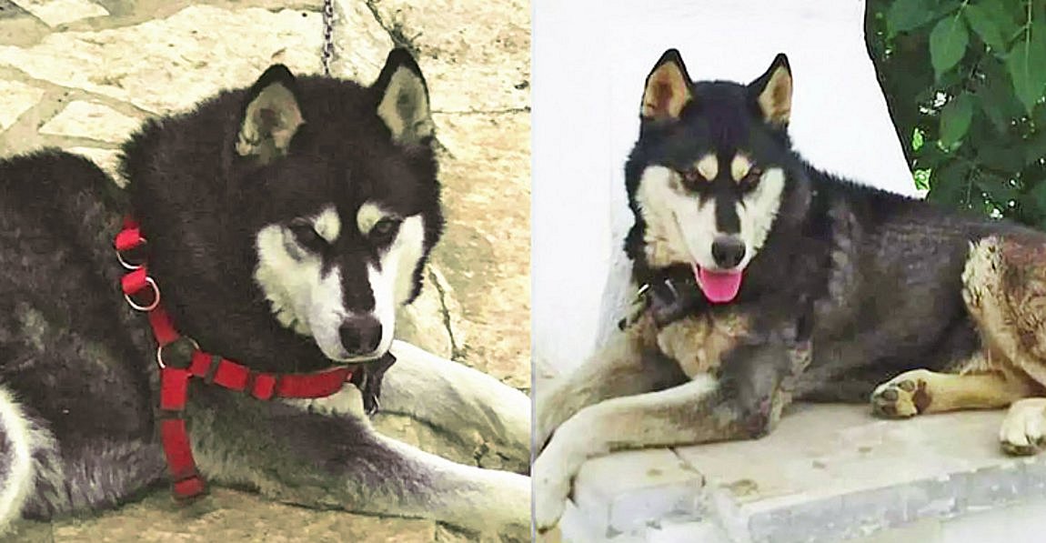 Αυτό είναι το πόρισμα για τον θάνατο του Όλιβερ