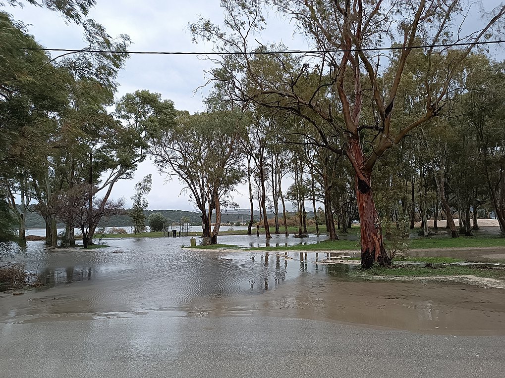 Πλημμύρισαν χιλιάδες στρέμματα καλλιεργειών στη Θεσπρωτία – Yπερχείλισε ο ποταμός Καλαμάς