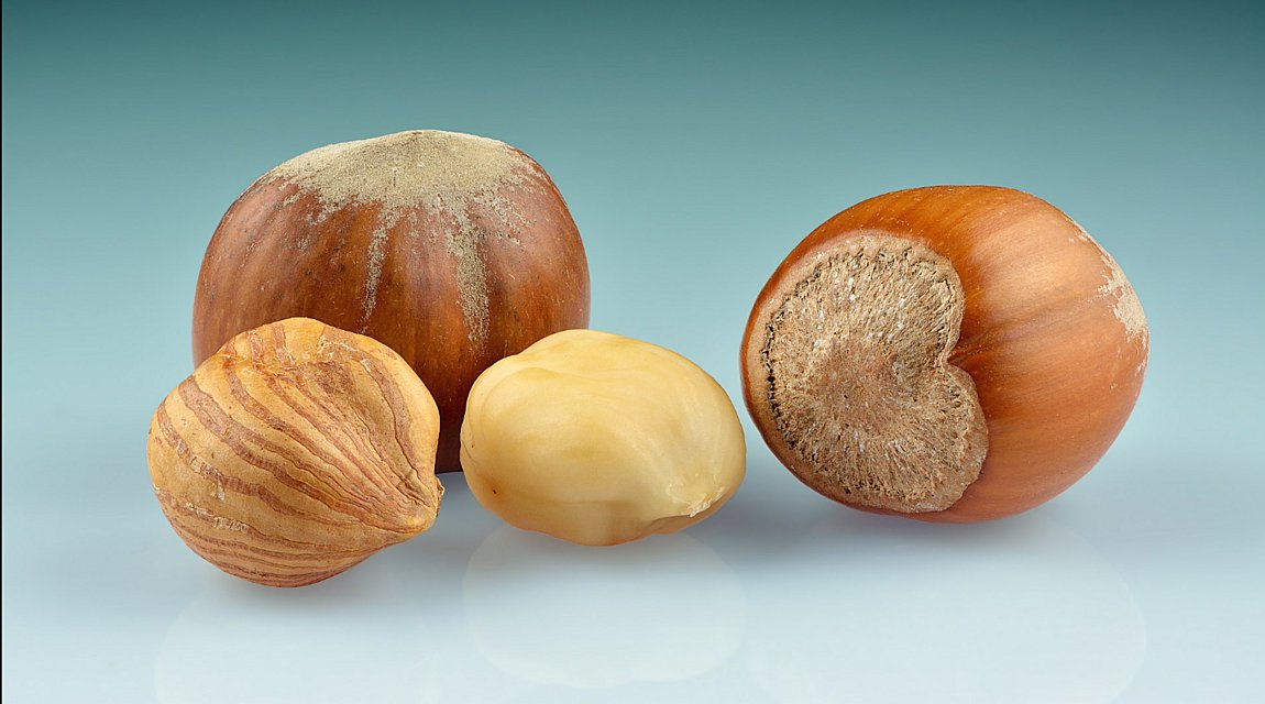 Φουντούκια: Διατροφική αξία, οφέλη και παρενέργειες – Ποιοι δεν πρέπει να τρώνε