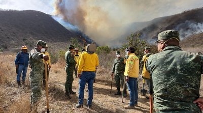 Μεξικό: 116 δασικές πυρκαγιές σε όλη τη χώρα - Τέσσερις νεκροί - Βίντεο