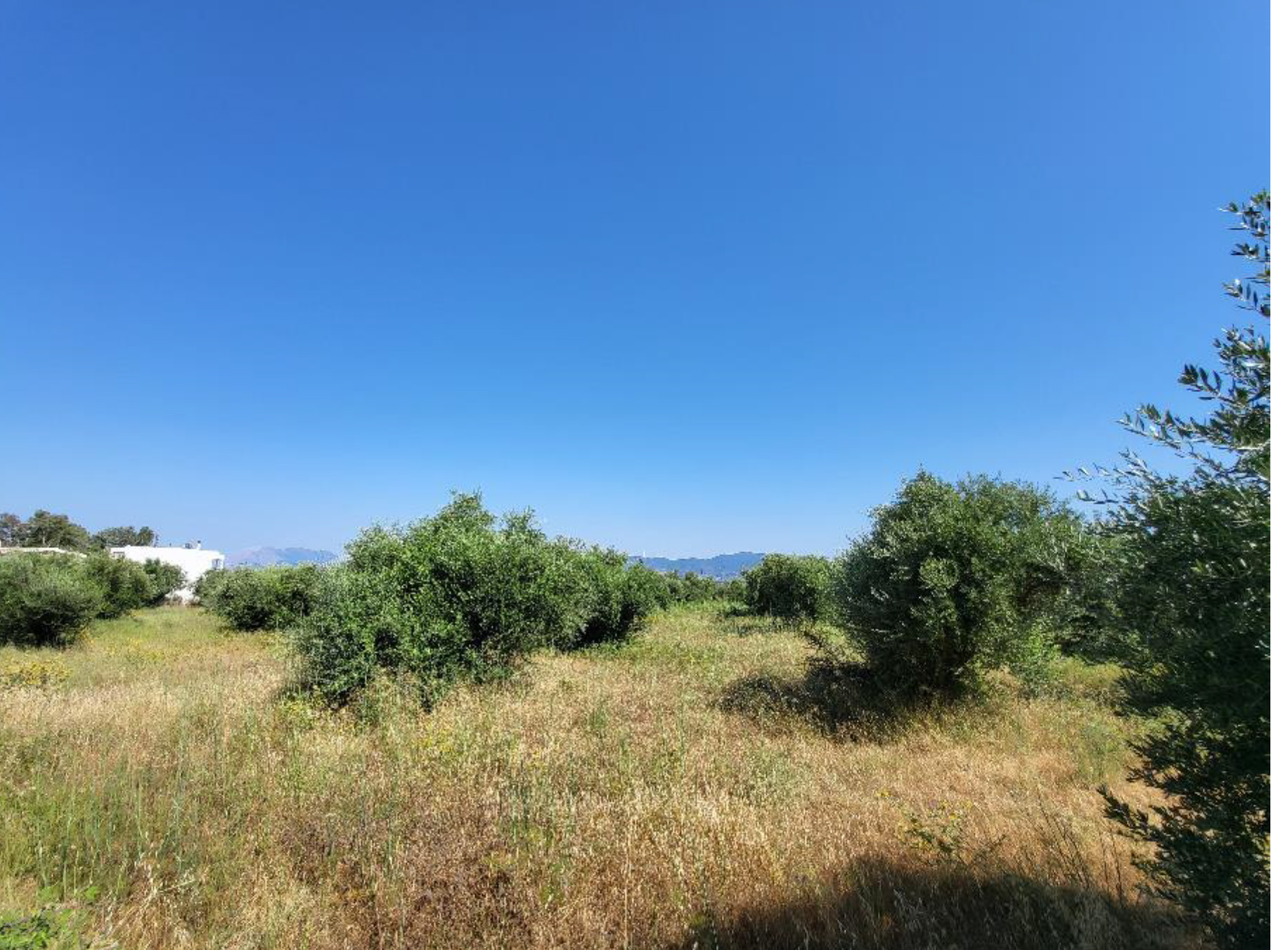  Photos: www.eauction.gr