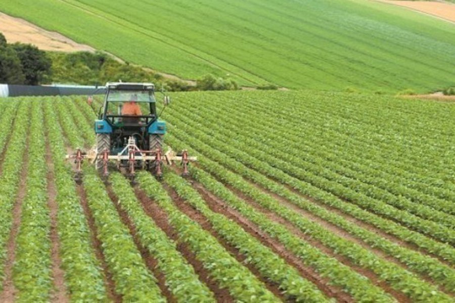 Νέοι κανόνες προστασίας για ποιοτικά γεωργικά προϊόντα με «γεωγραφική ένδειξη»
