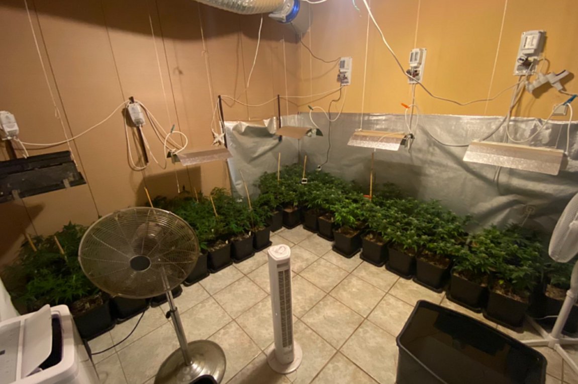Θεσσαλονίκη: Μετέτρεψαν το σπίτι τους σε θερμοκήπιο για την καλλιέργεια κάνναβης
