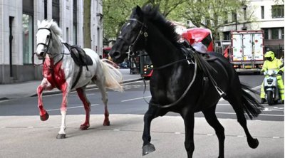 Αναστάτωση στο Λονδίνο: Άλογα τρέχουν στους δρόμους της βρετανικής πρωτεύουσας - ΕΙΚΟΝΕΣ