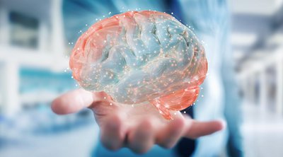 Ο νωτιαίος μυελός «μαθαίνει» χωρίς να λαμβάνει εντολή από τον εγκέφαλο; Τι έδειξε νέα μελέτη
