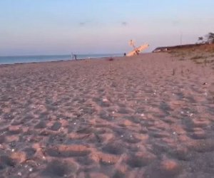 ΗΠΑ: Αεροσκάφος κάνει αναγκαστική προσγείωση σε παραλία και καρφώνεται στην άμμο - ΒΙΝΤΕΟ