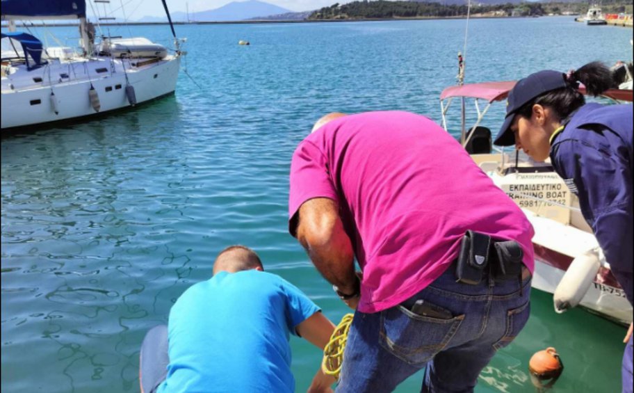 Βόλος: Καρχαριοειδές 3,5 μέτρων εντοπίστηκε στο λιμάνι - Βίντεο 
