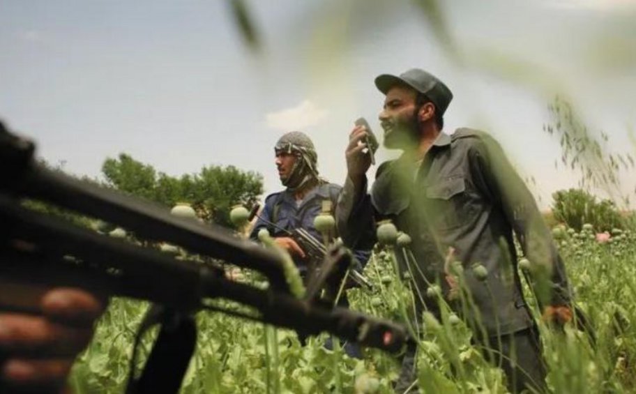 Αφγανιστάν: Πάνω από 100 συλλήψεις κατηγορούμενων για καλλιέργεια παπαρούνας στον βορρά 