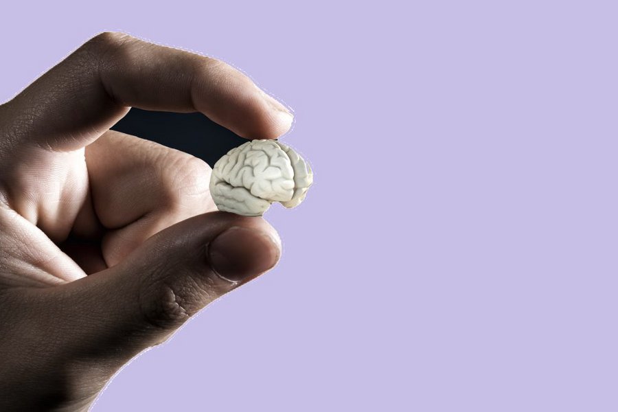 Αλτσχάιμερ: Ερευνητές αναπτύσσουν «μίνι-εγκεφάλους» που φέρνουν επανάσταση στη διάγνωση και θεραπεία