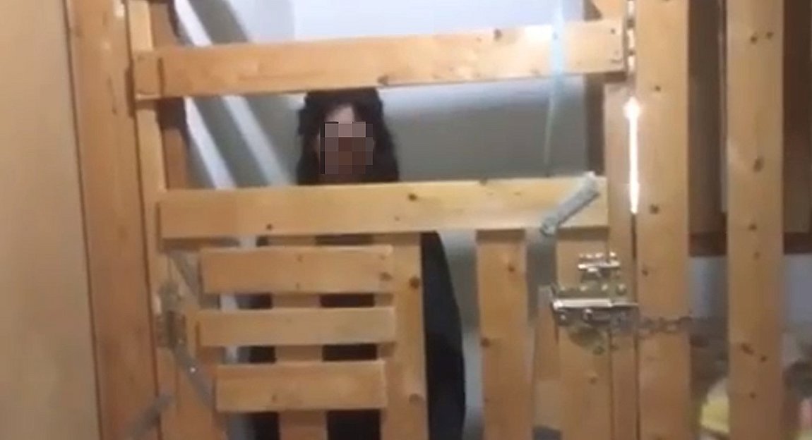 Καλαμάτα: Νέο Κωσταλέξι με 29χρονη σε κλουβί – ΒΙΝΤΕΟ