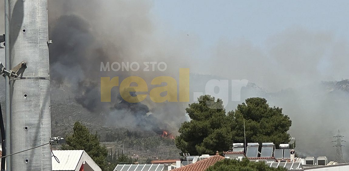 Xωρίς ενεργό μέτωπο η πυρκαγιά στο Κρυονέρι