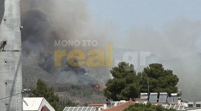 Πυρκαγιά στο Κρυονέρι - Οι πρώτες εικόνες