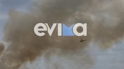Φωτιά στην Εύβοια: Ενισχύθηκαν οι πυροσβεστικές δυνάμεις 