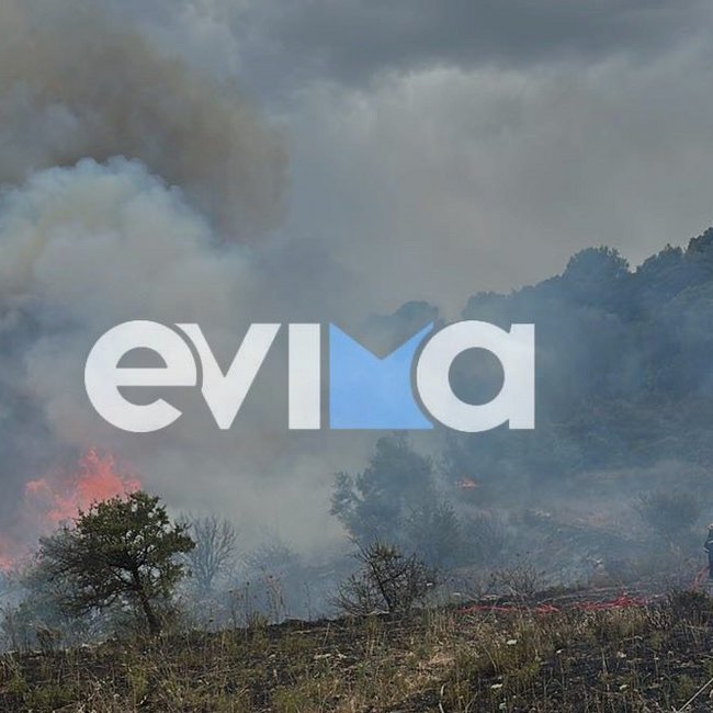 Σε εξέλιξη φωτιά στην Εύβοια – Μήνυμα του 112 στους κατοίκους του Αλμυροποτάμου
