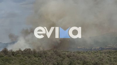 Εύβοια: Χωρίς ενεργό μέτωπο η πυρκαγιά στον Αλμυροπόταμο 
