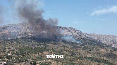 Χίος: Οριοθετήθηκε η πυρκαγιά από την πλευρά των Καρυών - Διάσπαρτες εστίες σε απόκρημνες χαράδρες