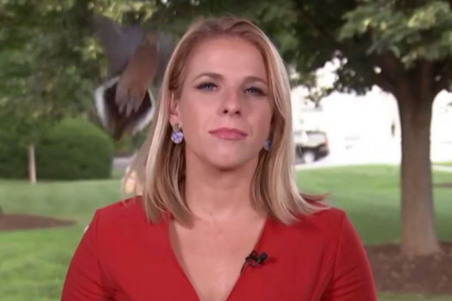 BINTEO: Πουλί προσγειώθηκε στο κεφάλι Αμερικανίδας ρεπόρτερ καθώς ετοιμαζόταν να βγει on air