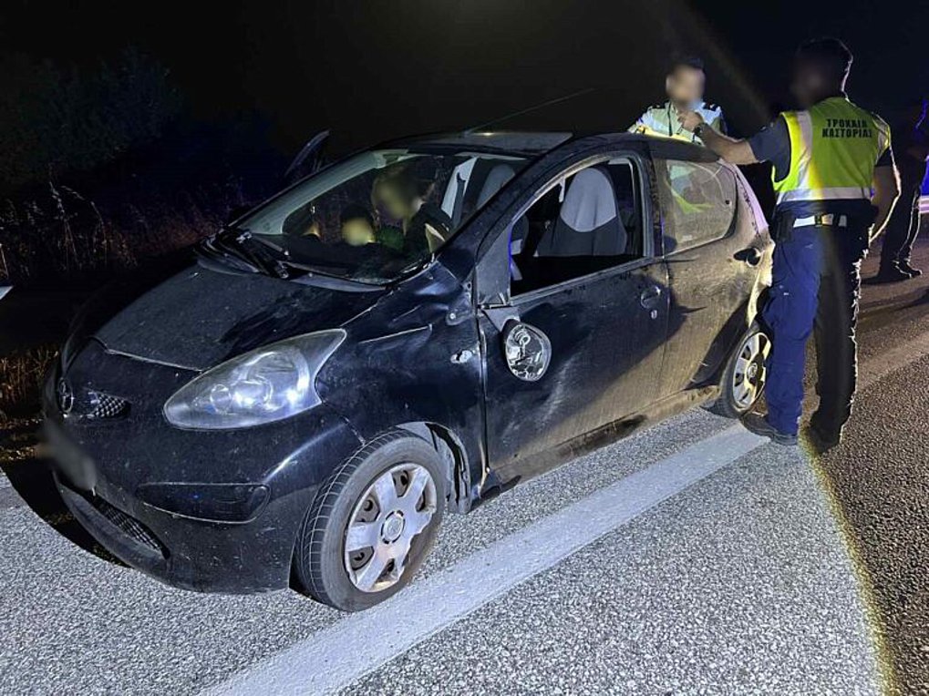 Καστοριά: Αρκούδα συγκρούστηκε με αυτοκίνητο