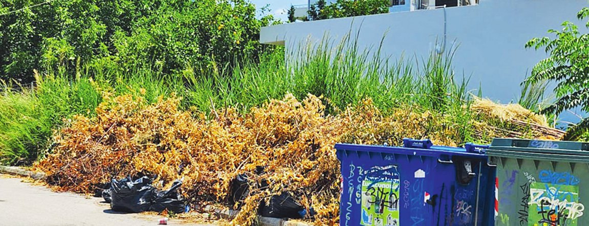 Τα έξι εμπόδια για τον καθαρισμό των οικοπέδων