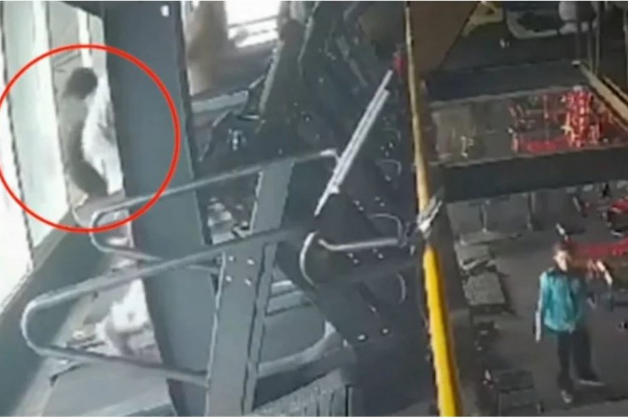 Σοκαριστικό βίντεο: Γυναίκα σκόνταψε στον διάδρομο γυμναστηρίου, έπεσε από το παράθυρο και σκοτώθηκε