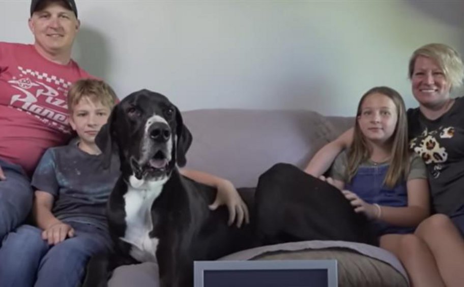 ΗΠΑ: Πέθανε ο ψηλότερος αρσενικός σκύλος του πλανήτη