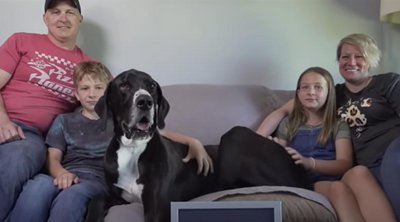 ΗΠΑ: Πέθανε ο ψηλότερος αρσενικός σκύλος του πλανήτη