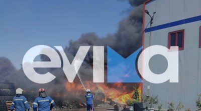Ριτσώνα: Φωτιά κοντά σε εργοστάσιο - Μήνυμα του 112 για παραμονή σε εσωτερικούς χώρους