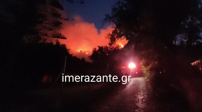 Ζάκυνθος: Φωτιά στην Αγία Μαρίνα - ΒΙΝΤΕΟ
