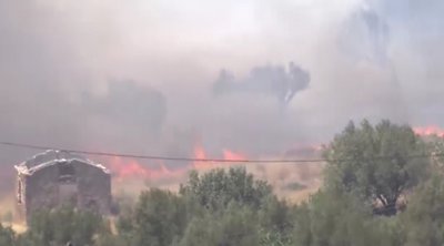 Φωτιά στην Κερατέα: Σπίτια παραδόθηκαν στις φλόγες - LIVE ενημέρωση