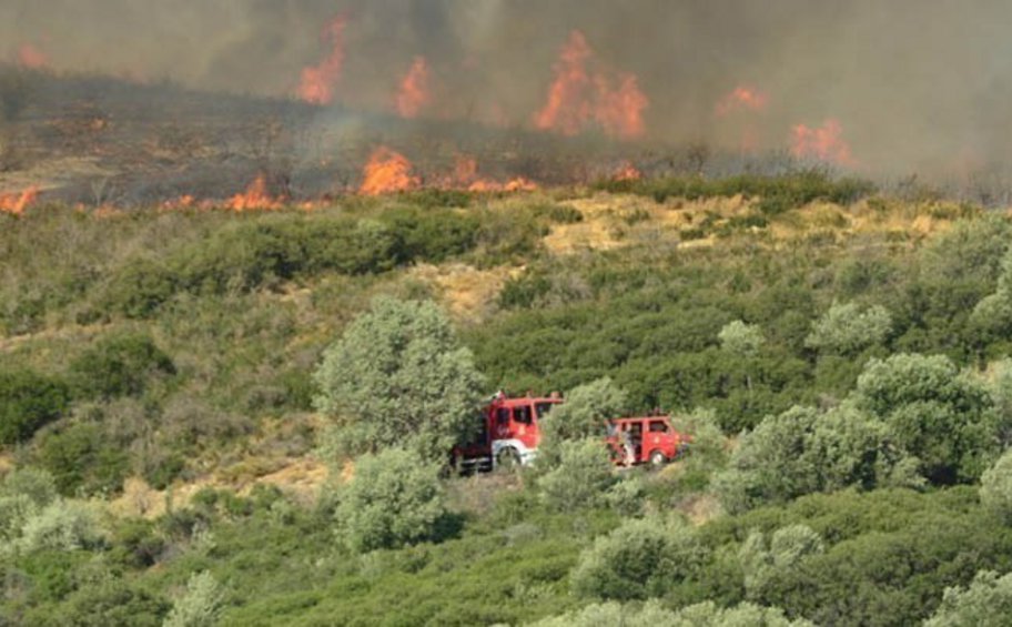 Είκοσι πυρκαγιές από την έναρξη της αντιπυρικής περιόδου στον δήμο Θέρμης