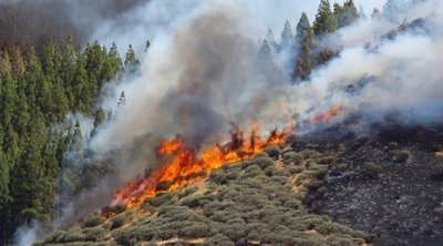 Θάσος: Κεραυνοί προκάλεσαν δύο δασικές πυρκαγιές 