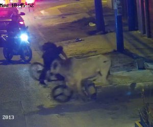 Περού: Αφηνιασμένος ταύρος αλωνίζει και επιτίθεται σε ανυποψίαστους πολίτες - ΒΙΝΤΕΟ